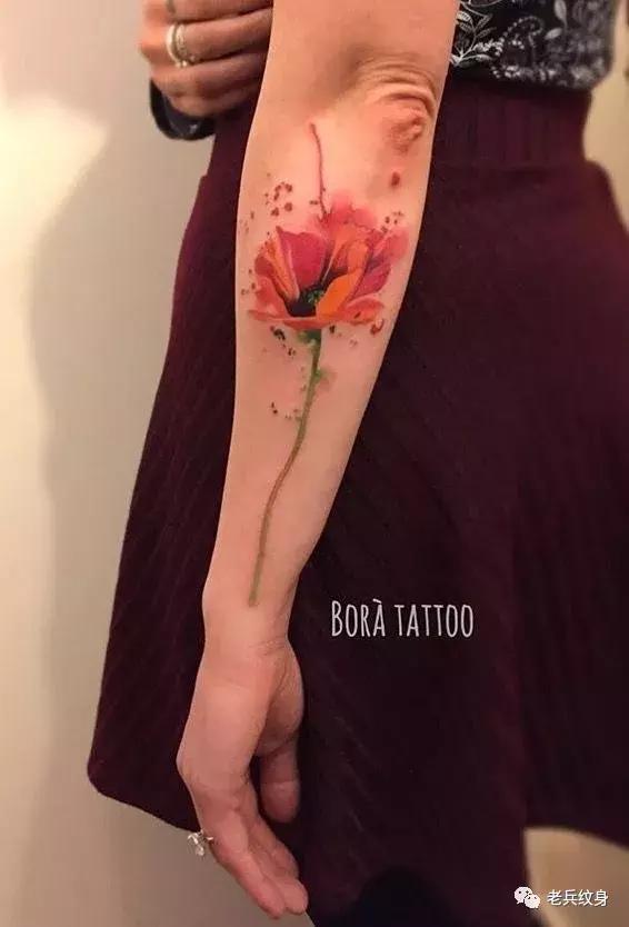 纹身素材视频,纹身素描手稿线条