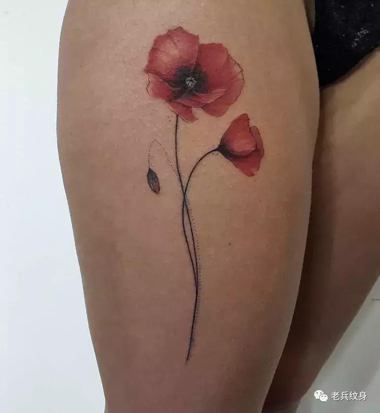 纹身素材视频,纹身素描手稿线条