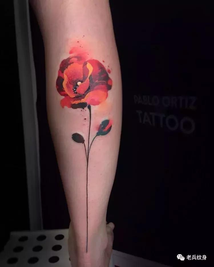 纹身素材视频,纹身素描手稿线条