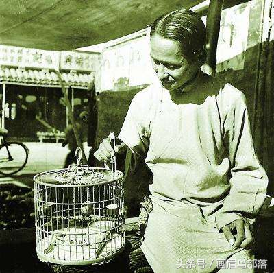 老北京鸟文化,老北京鸟的传说