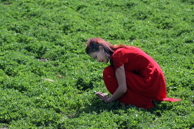 形婚有什么意义,形婚是什么意思