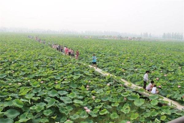 范县历史古迹,范县县城变迁史