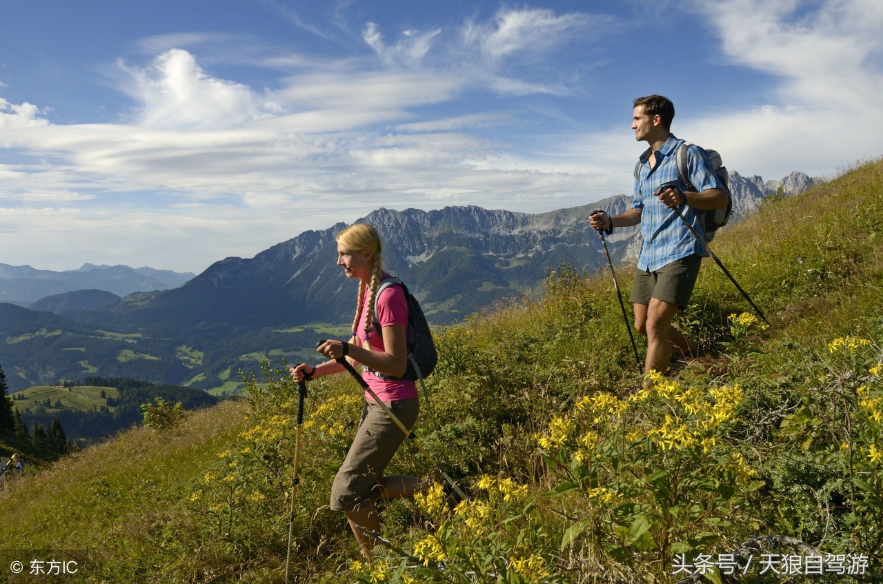 蛇虫叮咬怎么去除,避免蛇虫咬伤的安全措施