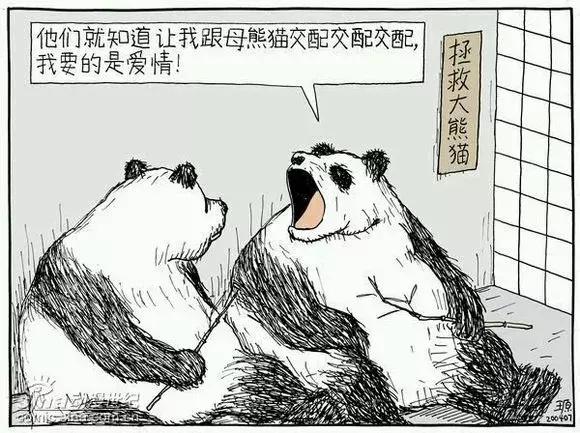 美丽新时代全集免费,美丽新时代3