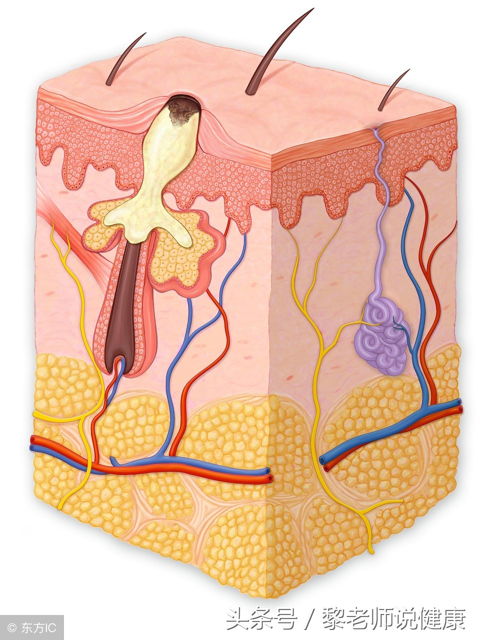 硫磺皂洗澡对人有伤害吗,硫磺皂洗澡对身体有什么影响
