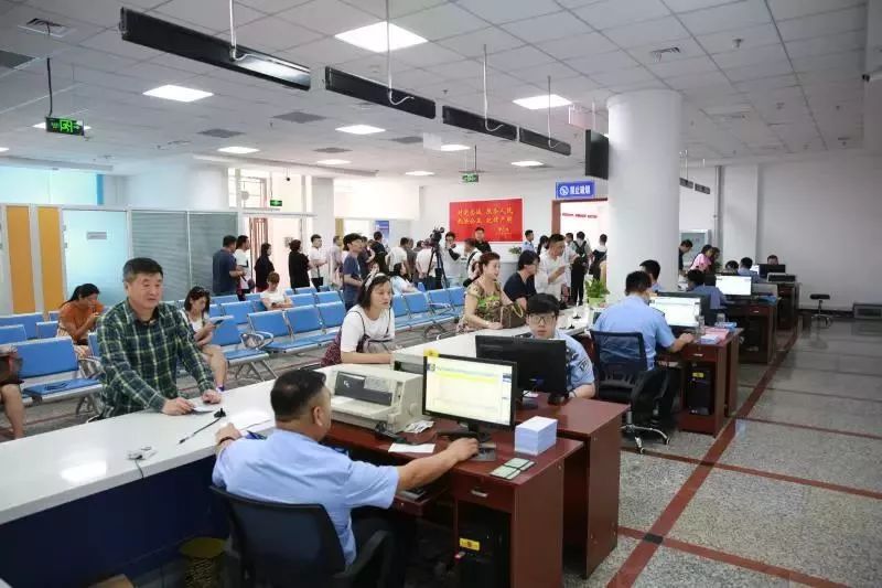 交警违章处理最新通知,近期交通违章处理