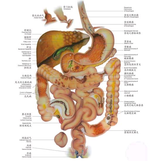 按摩腹部对胃肠道健康有益吗？千万不可乱按，医生告诉你真相