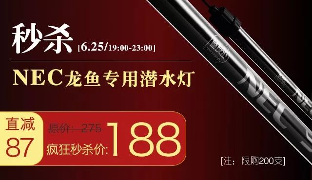 newa系列水泵,欧卡新款水泵