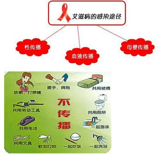 艾梅乙免费宣传资料,艾乙梅培训资料