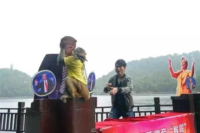 世界杯爆冷可能性,世界杯爆冷过吗