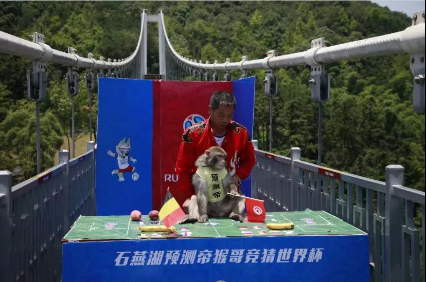 世界杯爆冷可能性,世界杯爆冷过吗