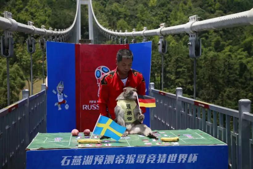 世界杯爆冷可能性,世界杯爆冷过吗