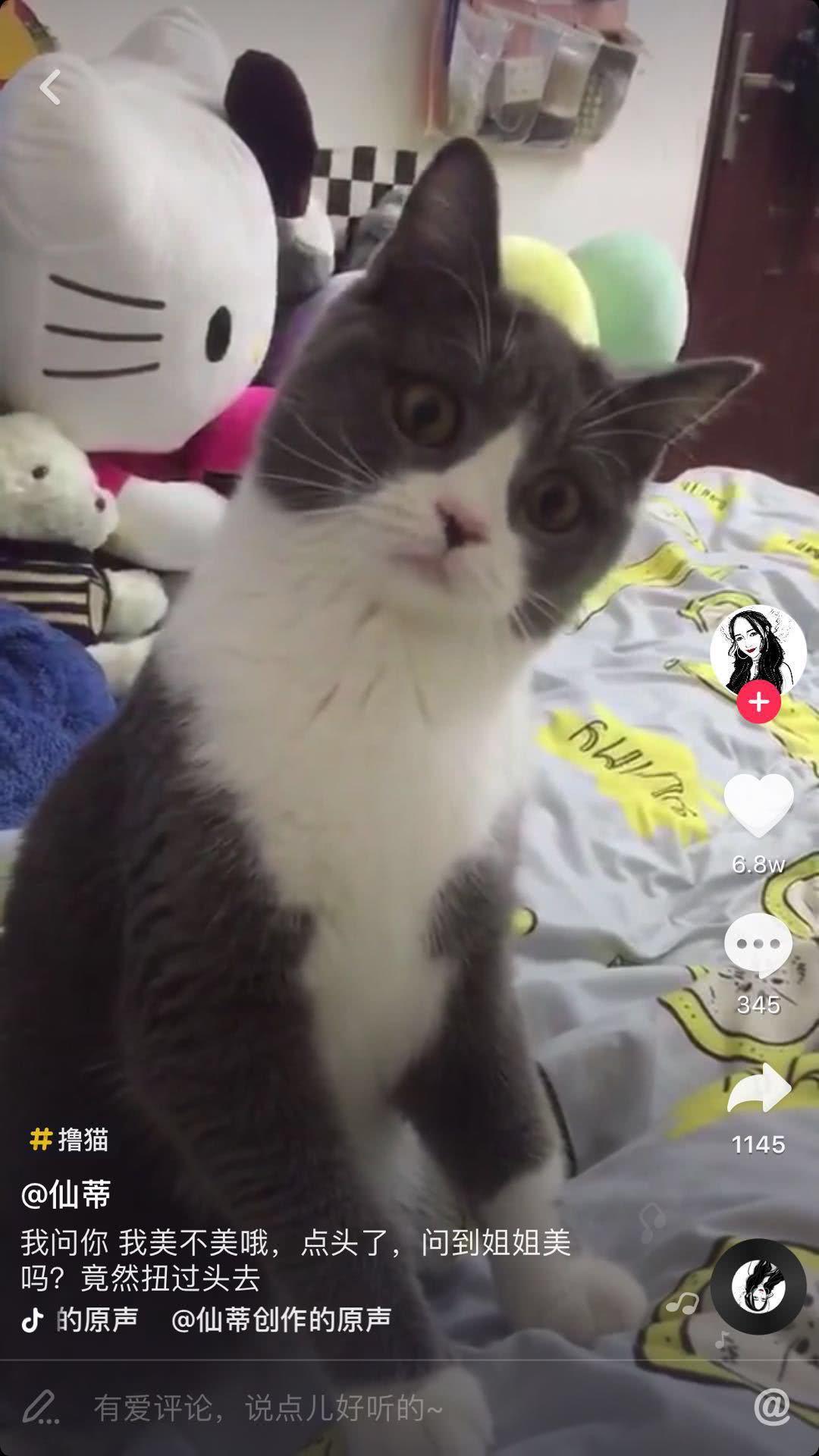 当代网红为了博眼球能做出来什么,网红博取眼球