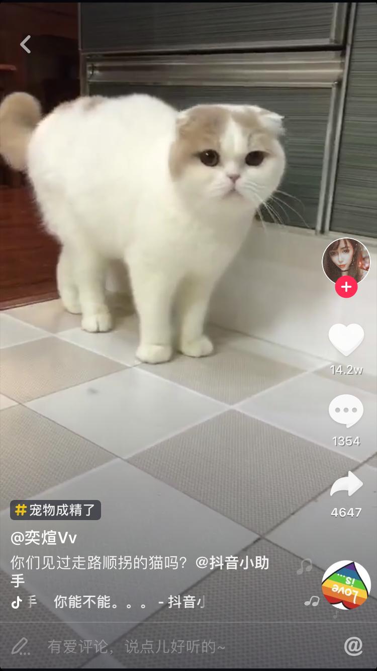 当代网红为了博眼球能做出来什么,网红博取眼球