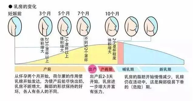 喂完奶胸干瘪生二胎还要母乳吗,生完二胎不母乳胸还会变小吗