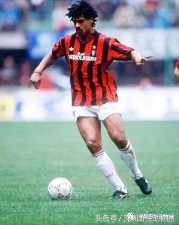 足球球员动物化,足球界马儿