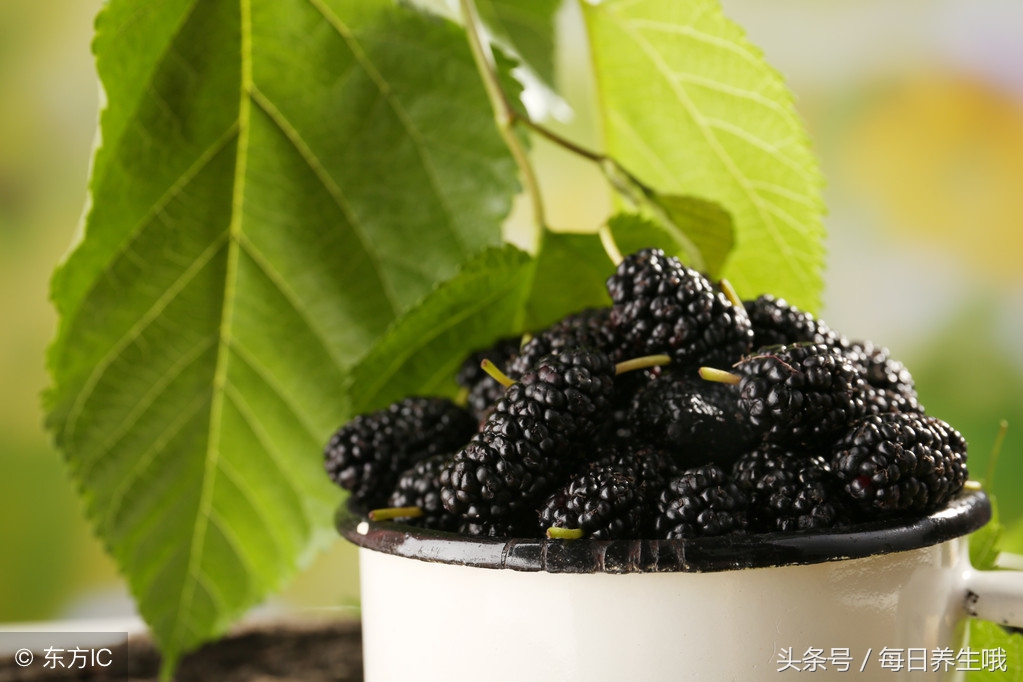 桑葚治幽门螺杆菌冲水喝吗,养胃杀幽门杆菌的中药泡水