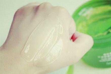 女王芦荟小苗移植方法,女王芦荟的正确养殖方法