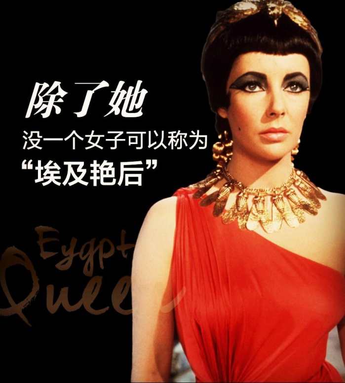 女王芦荟小苗移植方法,女王芦荟的正确养殖方法