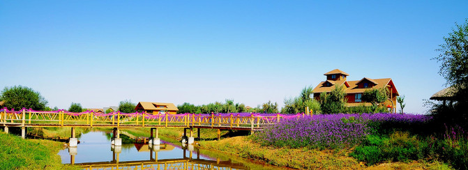 一篇攻略告诉你，到了宁夏该怎么玩？