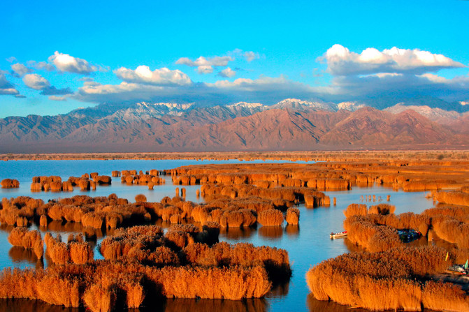 一篇攻略告诉你，到了宁夏该怎么玩？