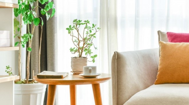 装修家里贴壁布怎么快速去除甲醛,室内新房装修去除甲醛有效的方法