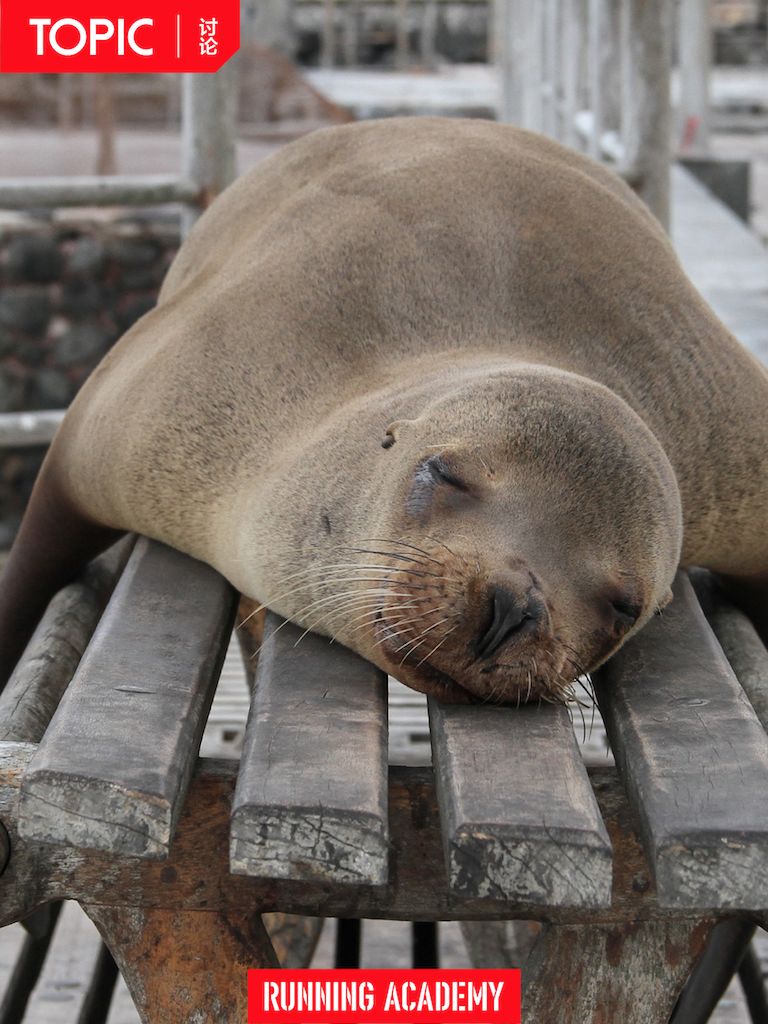 当你停止锻炼会怎么样,当你停止进食会发生什么