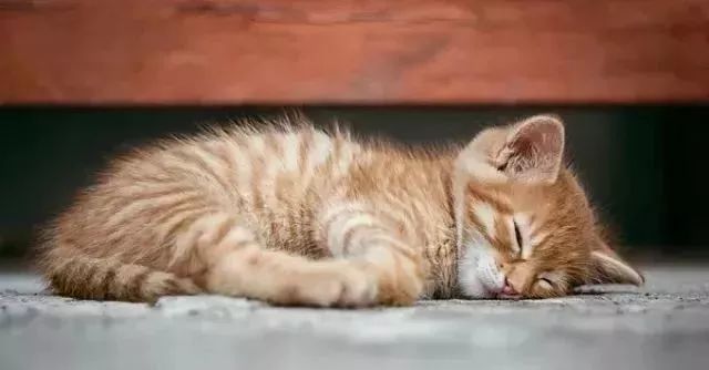 夏天午睡越睡越困醒不过来怎么办,夏季午睡起来健康养生