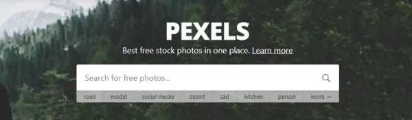 平面设计师可以学美术吗,平面设计师要学习哪些东西