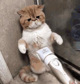 出国帮同事代购香水却遭拒收,网友吵翻了