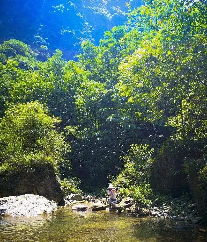 成都周边小众森林秘境,成都周边有山有水还免费的地方