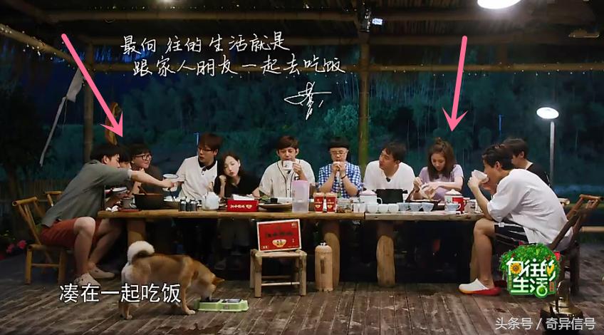 毛不易表面乖巧内心腹黑,毛不易总是能带给我们惊喜