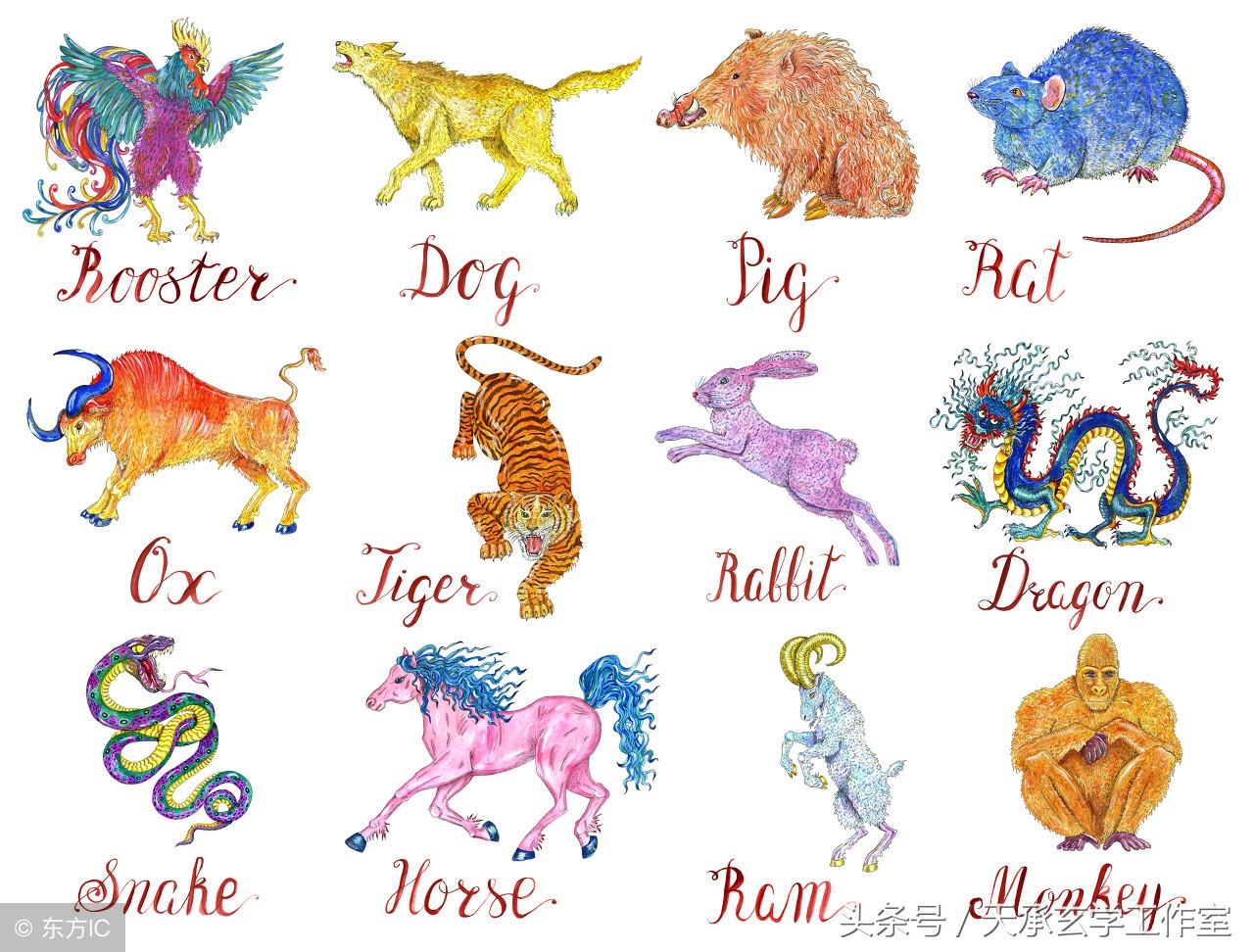 生肖冲生辰八字和什么有关,十二生肖冲刑破害详解