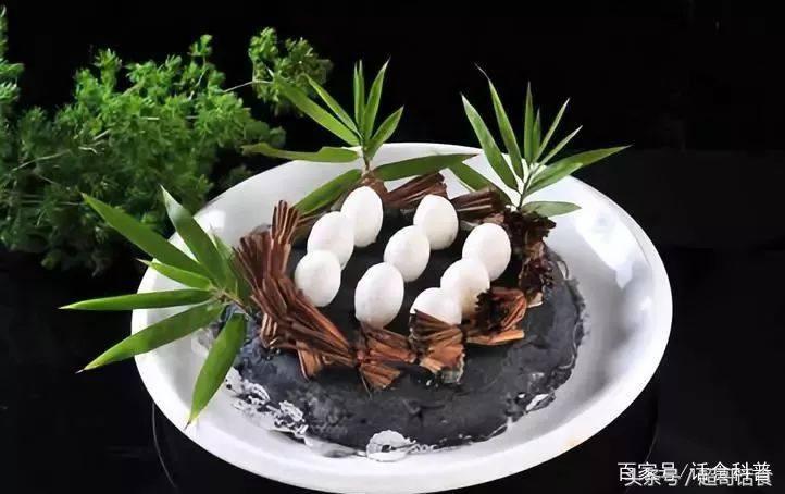 鸽子蛋的营养价值有多高,鸽子蛋的营养价目表