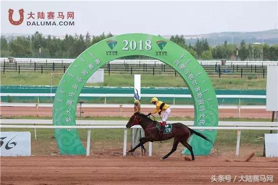 2018伊泰大漠马业系列纯血速度赛马赛事“鄂尔多斯金杯”圆满举办
