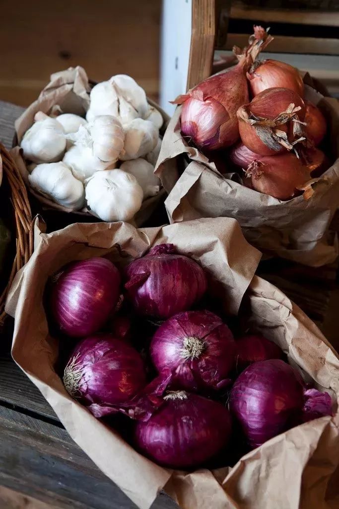 洗衣粉巧治蟑螂小妙招,洗衣粉怎么弄才能消灭蟑螂