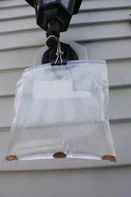 洗衣粉巧治蟑螂小妙招,洗衣粉怎么弄才能消灭蟑螂