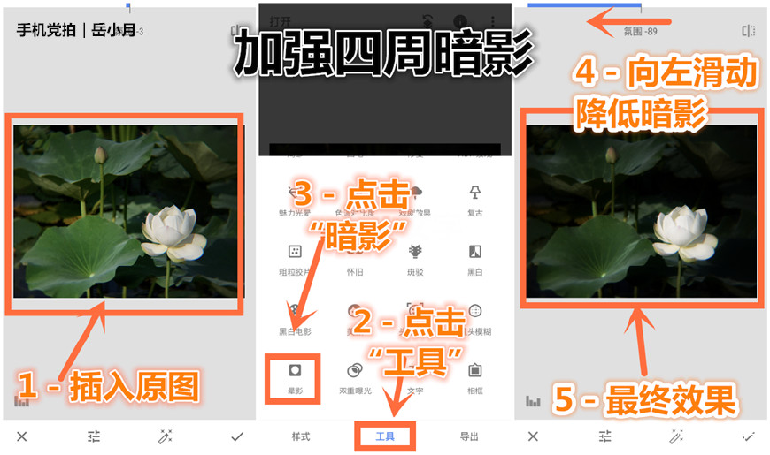 5个技巧拍出超有意境的荷花照,手机拍摄荷花最好的参数