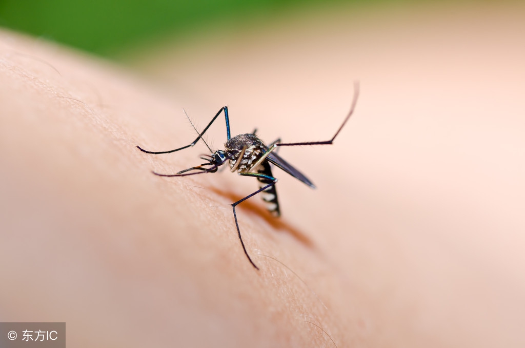 蚊子叮咬怎么止痒小妙招,蚊子叮咬快速止痒用什么最有效