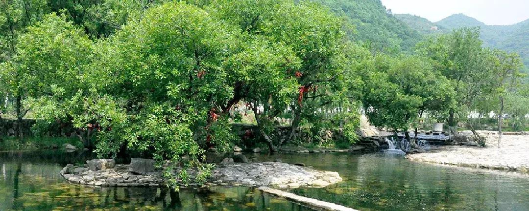 武汉周边两天一夜避暑露营,周边避暑露营地推荐