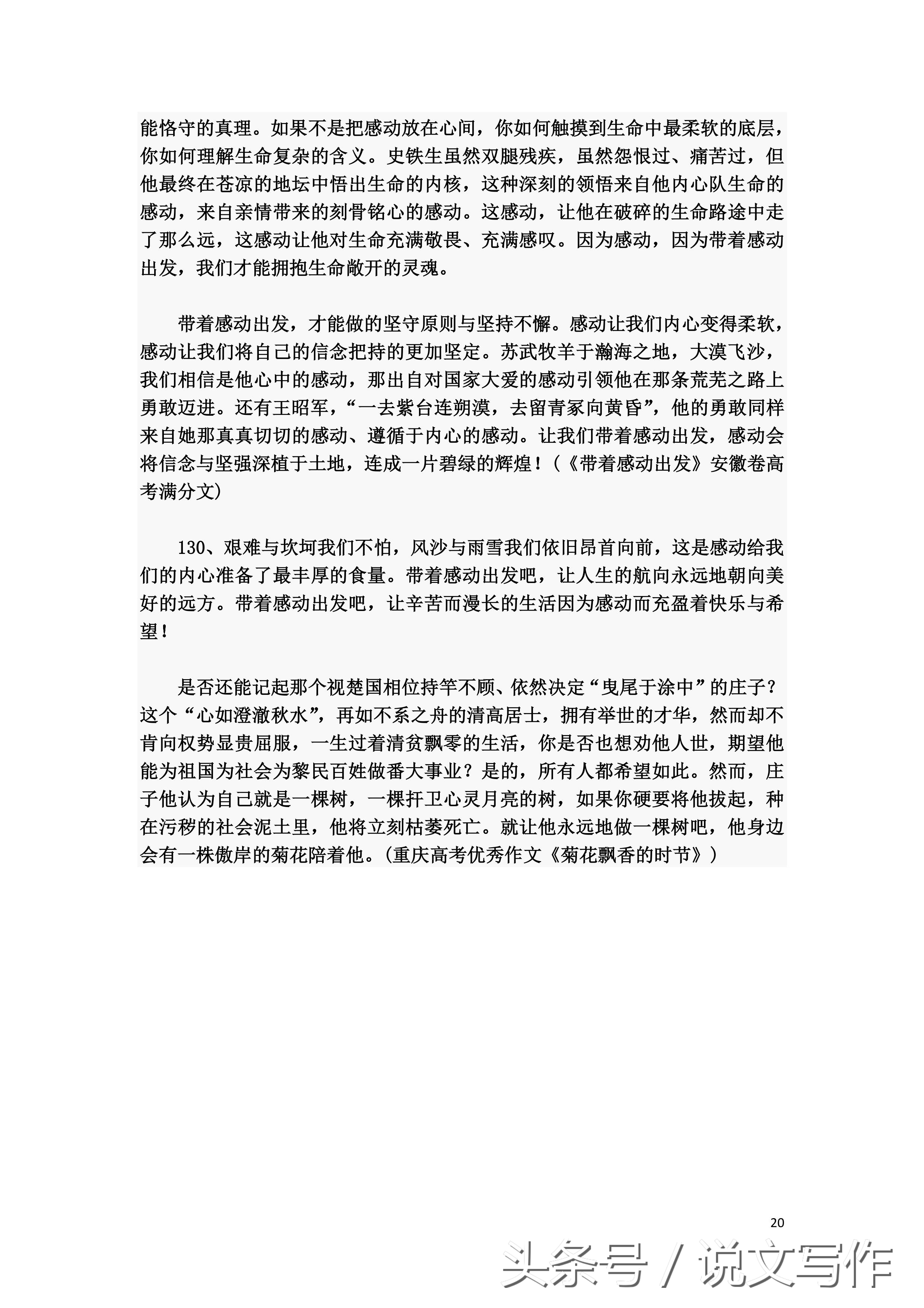 高考语文满分作文优美句子,语文高考满分作文10篇