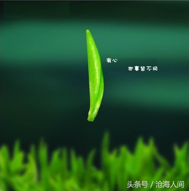 听华仔的歌瞬间泪目,听华仔唱歌完整版