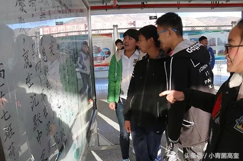 会泽县东陆中学2023年高考喜报,云南曲靖会泽高考2023状元排名