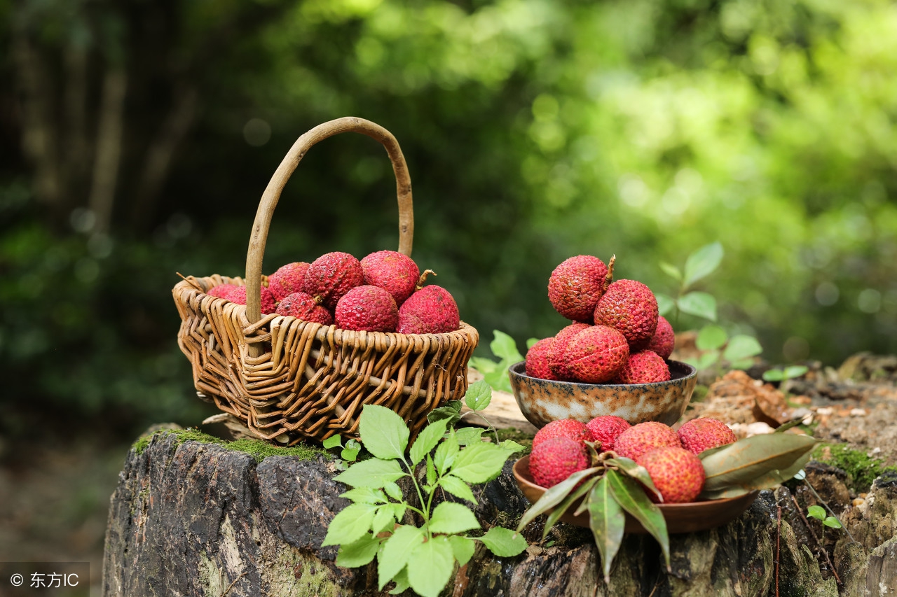 怎么缓解荔枝病,荔枝病央视新闻