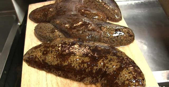 去日本旅游，花2000买了5头肥海参，做成菜后都快哭了！