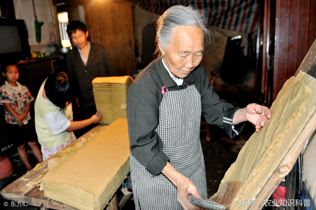手艺农村·黄黄的浆水，流淌的黄金