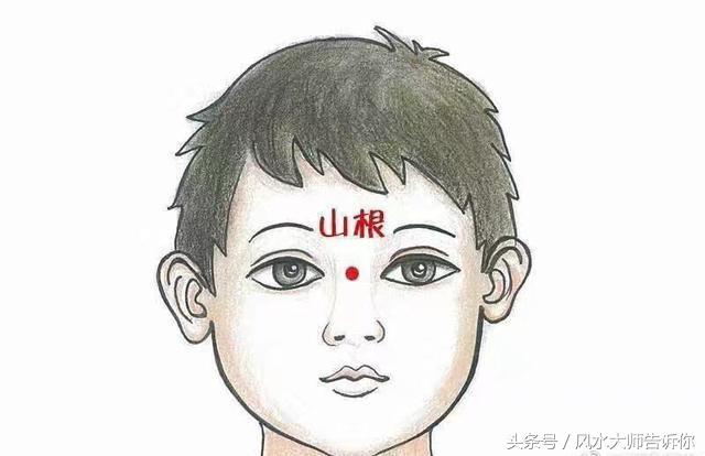 面相术基础知识讲解,面相学的重点知识点