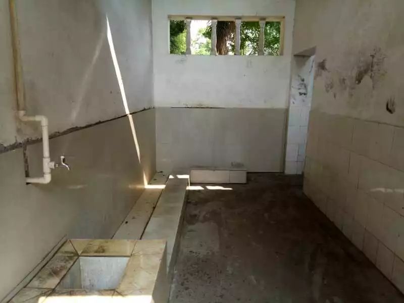 湖南长沙长郡月亮岛中学,望城区长郡月亮岛中学