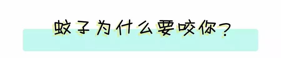 驱蚊最好的产品测评,这才是真正有用的驱蚊神器