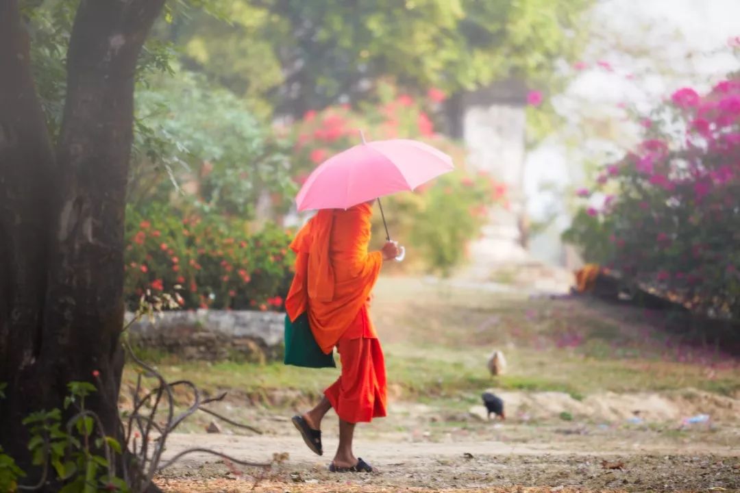 适合暑期去的免签落地签国家,免签落地签旅游推荐